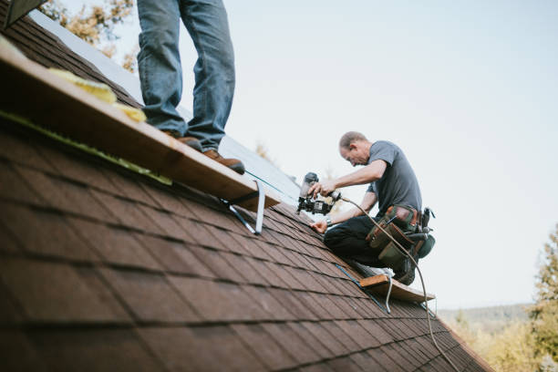 Best Metal Roofing Contractor  in Sharon, WI